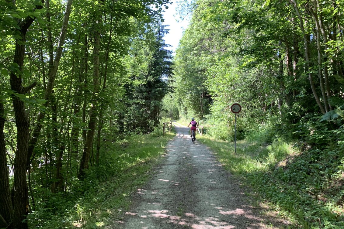 Radfahren Waldheimat Runde, Birkfeld - Touren-Impression #1 | © Oststeiermark Tourismus
