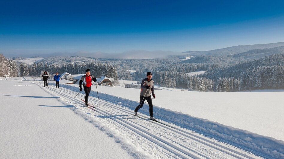 Langlauf klassisch Gaberl – Altes Almhaus – Salzstieglhaus - Touren-Impression #2.3 | © Region Graz