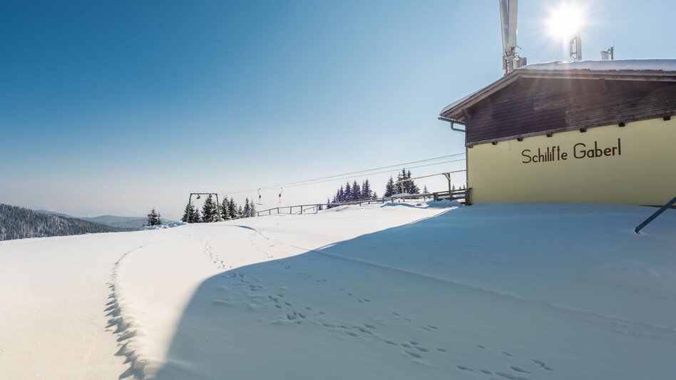 Langlauf klassisch Gaberl – Altes Almhaus – Salzstieglhaus - Touren-Impression #2.7 | © Region Graz