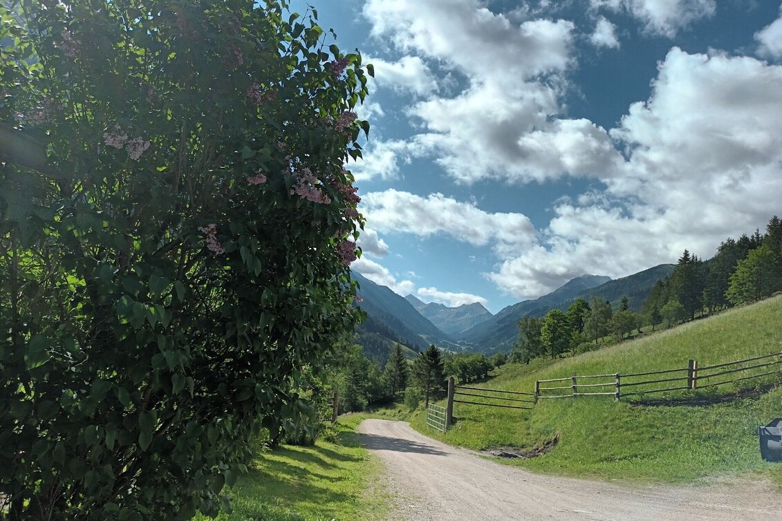 Wanderung Panoramaweg Fleiß - Touren-Impression #1