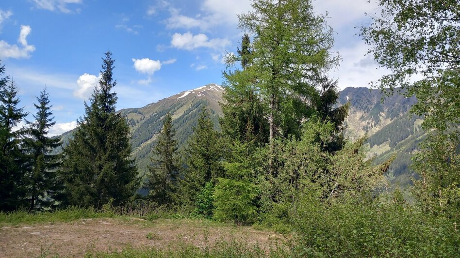 Wanderung Panoramaweg Fleiß - Touren-Impression #2.2