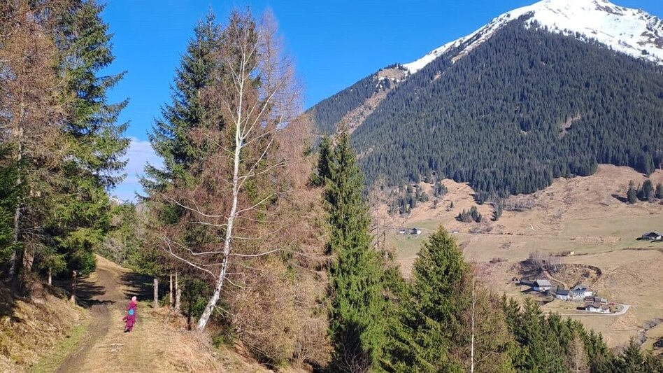 Wanderung Panoramaweg Fleiß - Touren-Impression #2.3