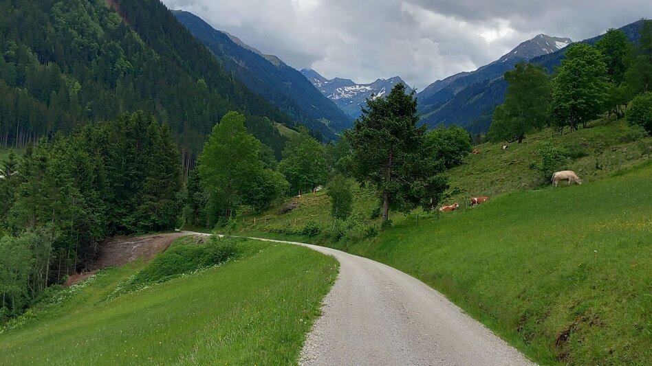 Wanderung Panoramaweg Fleiß - Touren-Impression #2.4 | © Anita Egger