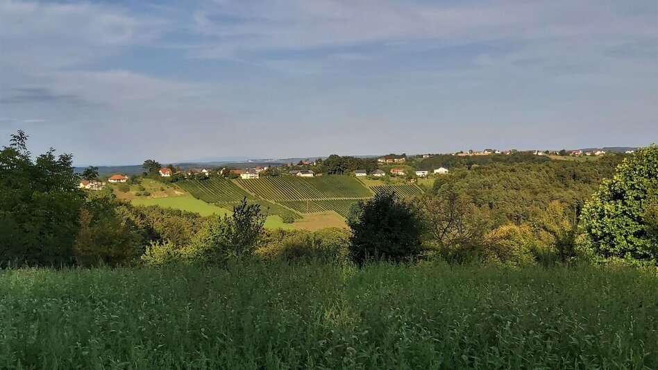 Cycling Obstland Tour, Weiz - Pischelsdorf - Touren-Impression #2.9 | © Oststeiermark Tourismus