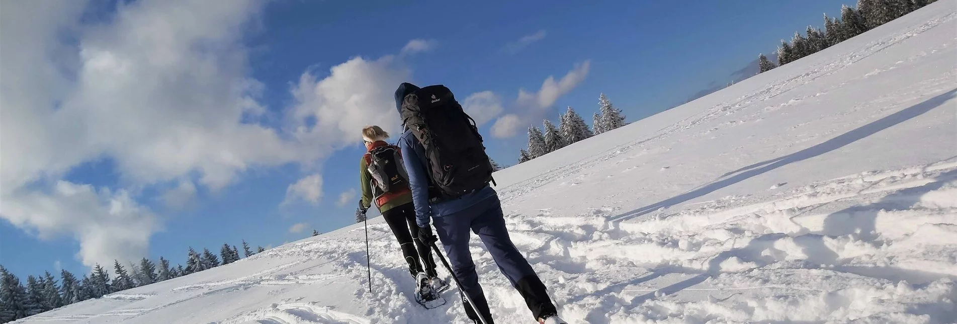 Snowshoe walking Schneeschuhwanderung am Plankogel, Sommeralm - Touren-Impression #1 | © Oststeiermark Tourismus