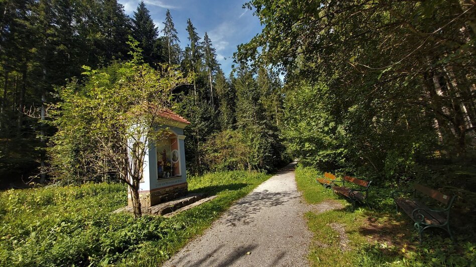 Cycling Raabklamm family tour, St. Ruprecht an der Raab - Weiz - Touren-Impression #2.2 | © Oststeiermark Tourismus