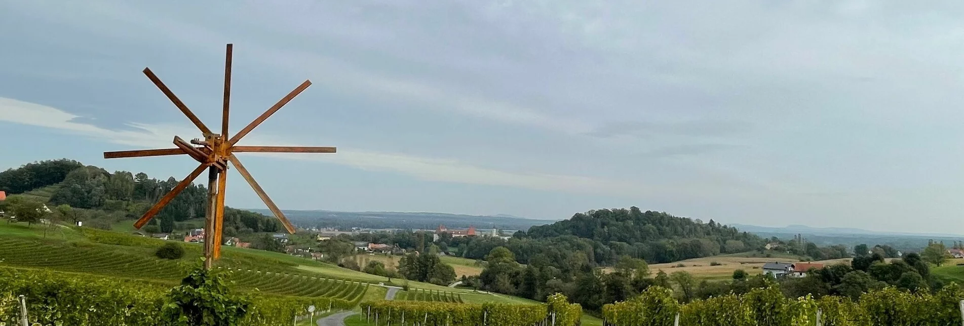 Wanderung Spielfelder Weingärten – Natur – Archäologieweg – Tour 8 lt. WK „Von der Alm zum Wein“ - Touren-Impression #1 | © Südsteiermark