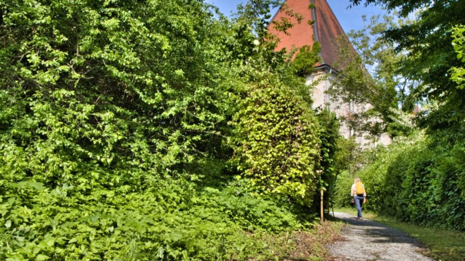 Hiking Route Spielfelder Weingärten – Natur – Archäologieweg - Touren-Impression #2.4
