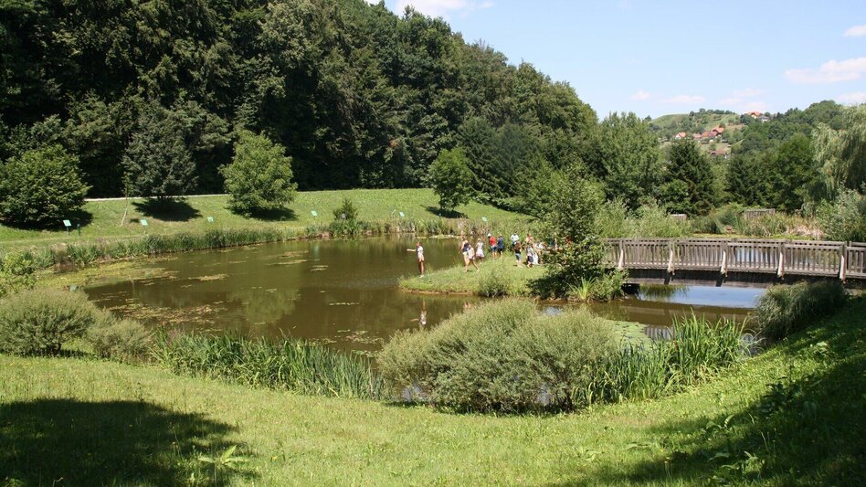 Themen- und Lehrpfad ERLebenspfad Magland in Unterlamm - Touren-Impression #2.2 | © Gemeinde Unterlamm