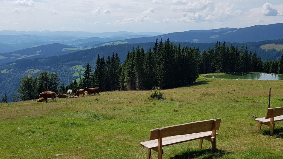 Themed Nature Trail HWW-Hiking route: Schäffern - Tauchen/Wechsel - Koglreith - Hilmtor - Trahütte - Touren-Impression #2.7