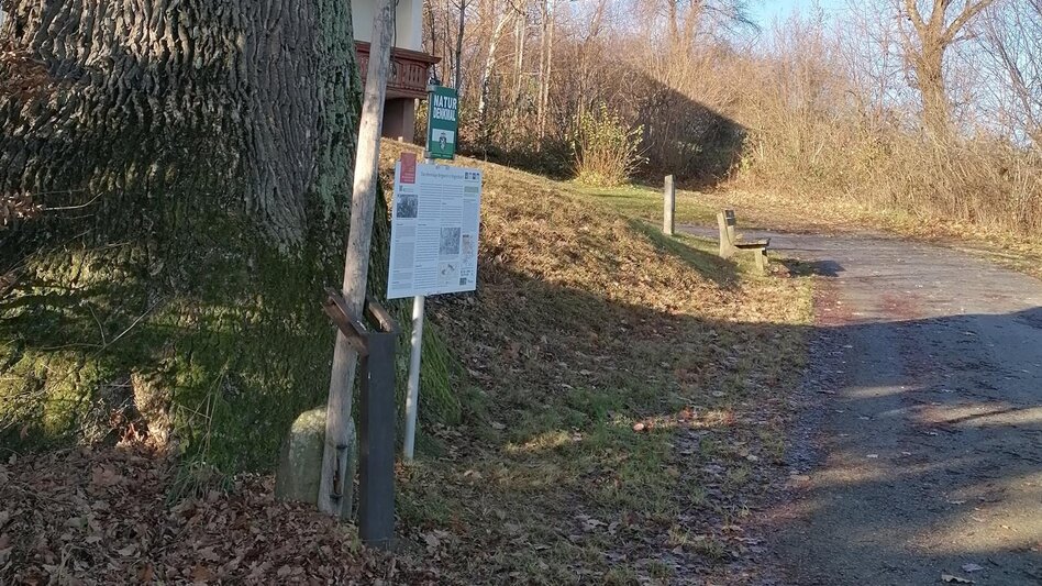 Themed Nature Trail HWW-Hiking route: Pinggau - Friedberg - Stögersbach - Dechantskirchen - Touren-Impression #2.4 | © Historischer Verein Wechselland - Dr. Andreas Salmhofer