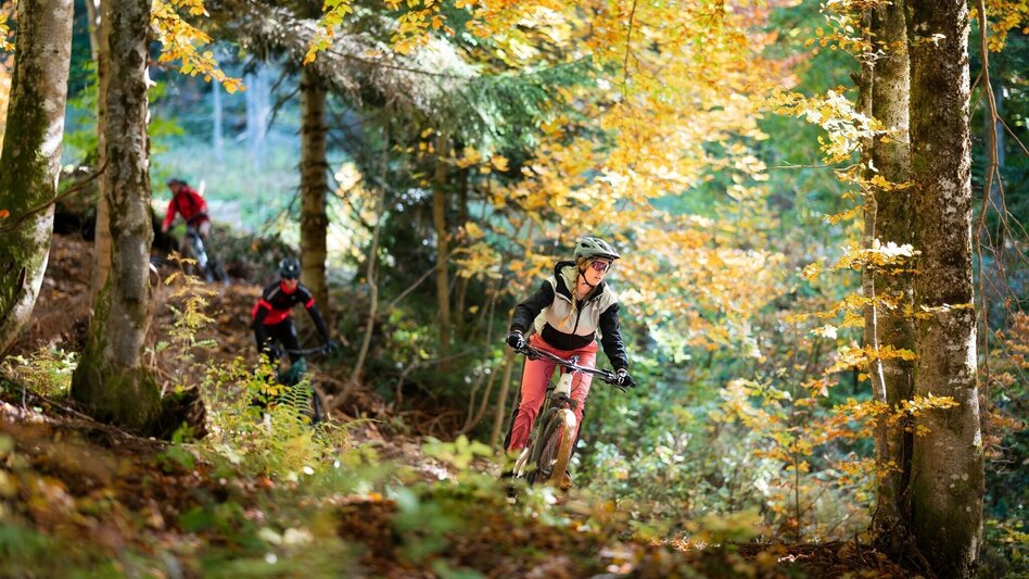 Mountain Biking Augst Trail S501 - Touren-Impression #2.3 | © TVB Ausseerland Salzkammergut