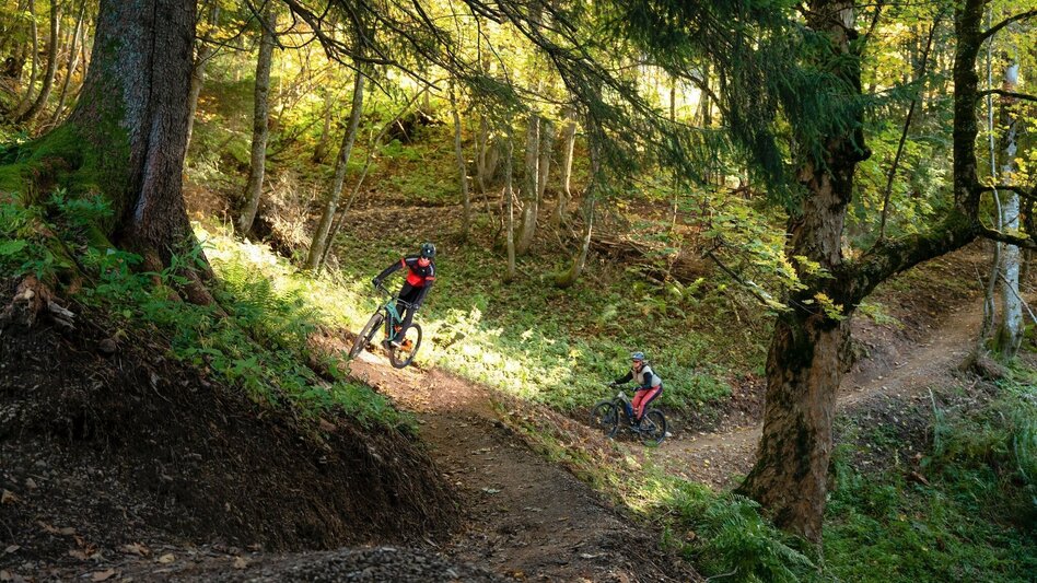Mountain Biking Augst Trail S501 - Touren-Impression #2.4 | © TVB Ausseerland Salzkammergut