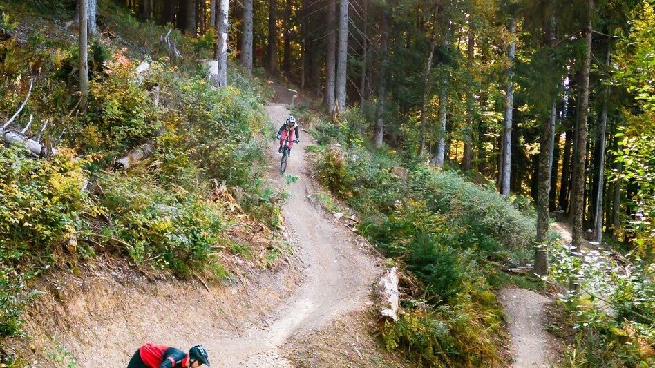 Mountain Biking Augst Trail S501 - Touren-Impression #2.5 | © TVB Ausseerland Salzkammergut