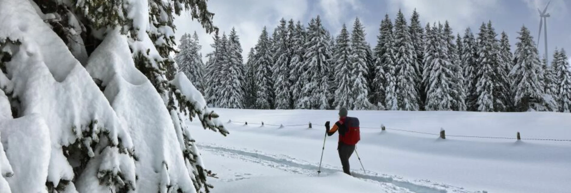 Schneeschuh Freiländeralm - Touren-Impression #1 | © Weges OG