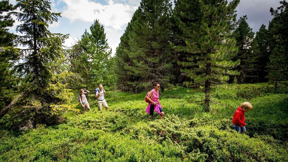 Hiking Route Kreischberg adventure hike - Touren-Impression #2.4 | © Murtal Seilbahnen Betriebs GmbH