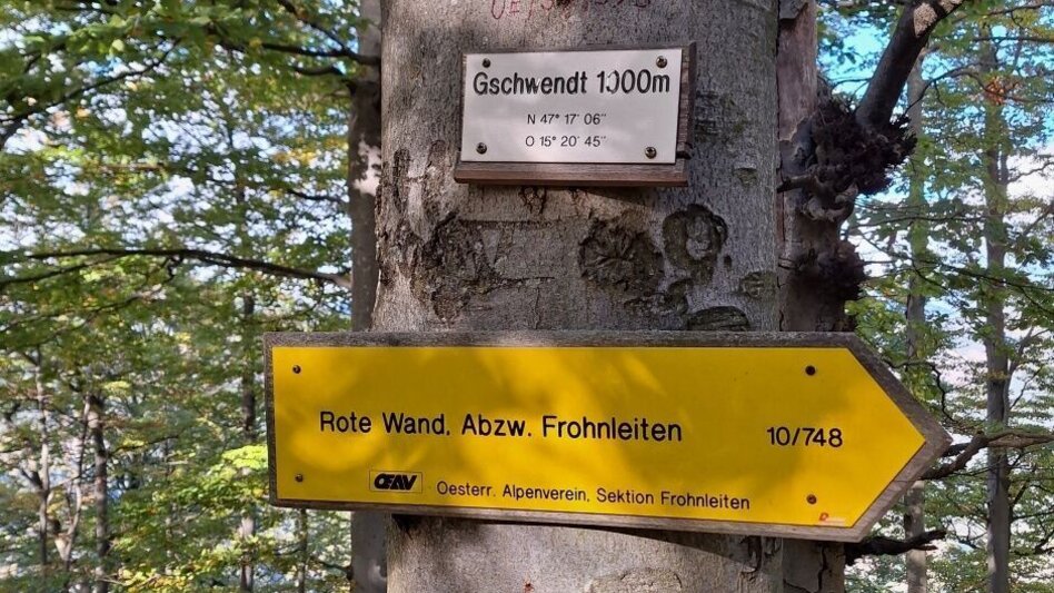 Hiking Route Frohnleitner Gschwendtberg - Touren-Impression #2.4 | © Weges OG