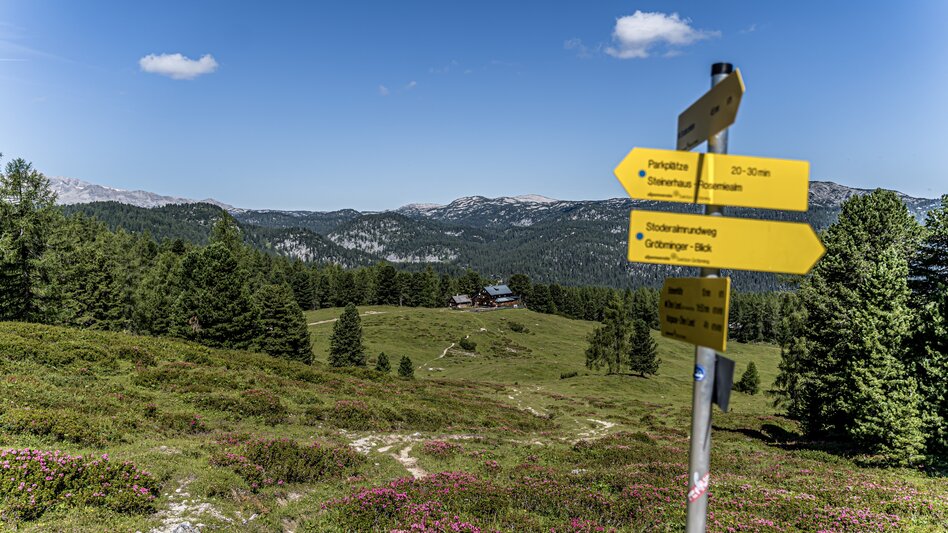Hiking Route Stoderzinken Summit Tour - Touren-Impression #2.10 | © Gerhard Pilz