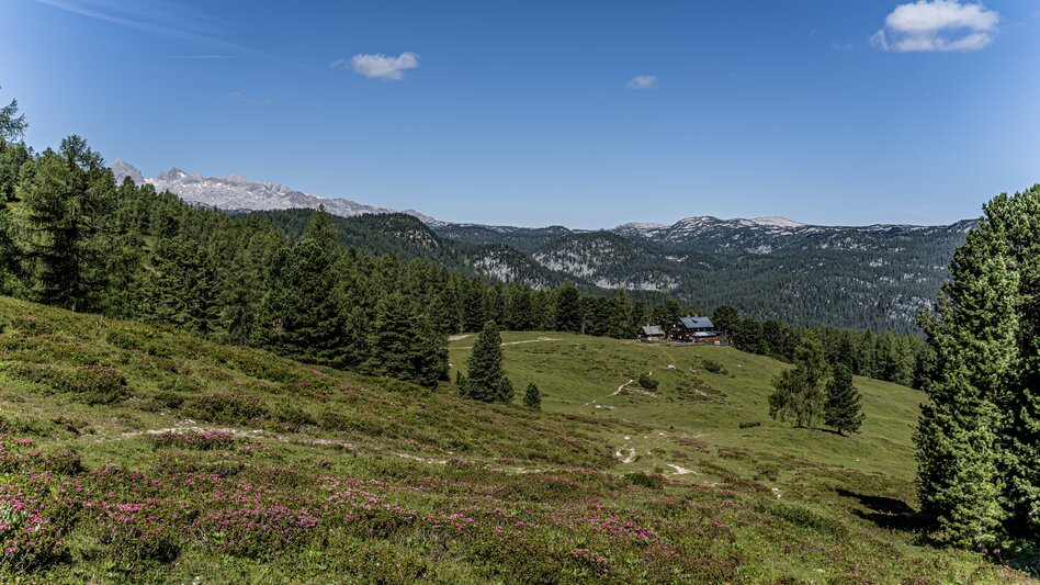 Hiking Route Stoderzinken Summit Tour - Touren-Impression #2.11 | © Gerhard Pilz