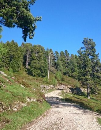 Stoderalm-Rundweg zum Gröbminger Blick | Schladming Dachstein | © Erlebnisregion Schladming-Dachstein