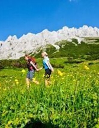 Auf der Fölzalm | Tom Lamm | © TV Hochsteiermark