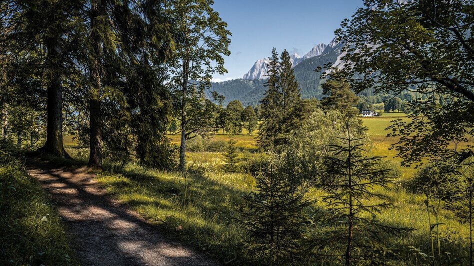 Wanderung Dorfrundweg Ramsau - Touren-Impression #2.2 | © Erlebnisregion Schladming-Dachstein