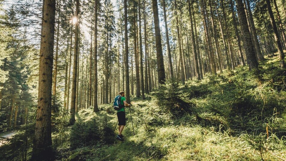 Wanderung Malleistenalm - Hocheck - Touren-Impression #2.1 | © TV Hochsteiermark