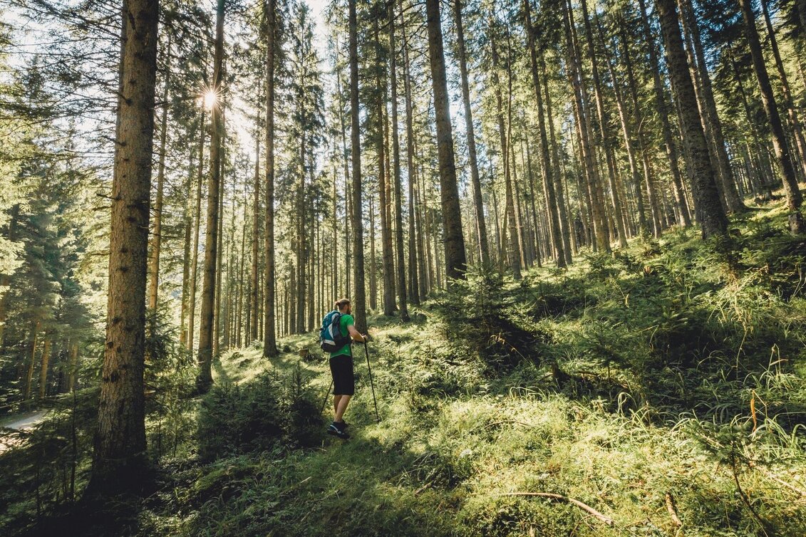 Wanderung Malleistenalm - Hocheck - Touren-Impression #1 | © TV Hochsteiermark