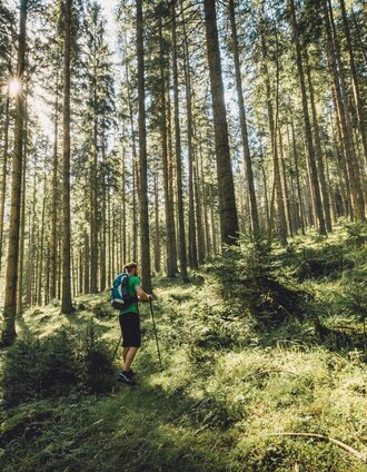 Schöne Waldwege, gute Luft | nicoleseiser.at | © TV Hochsteiermark