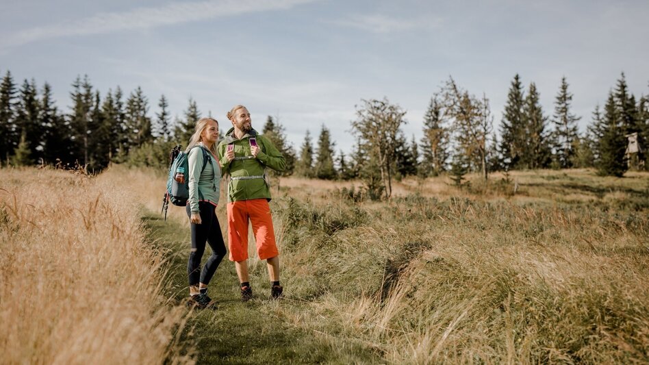 Wanderung Malleistenalm - Hocheck - Touren-Impression #2.2 | © TV Hochsteiermark