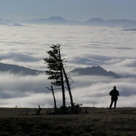 Ausblick von der Pretul | © TV Hochsteiermark