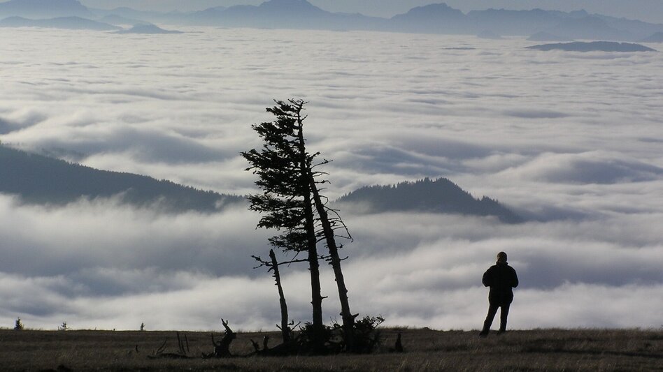 Hiking Route Up to the Ganzalm - Touren-Impression #2.1 | © TV Hochsteiermark