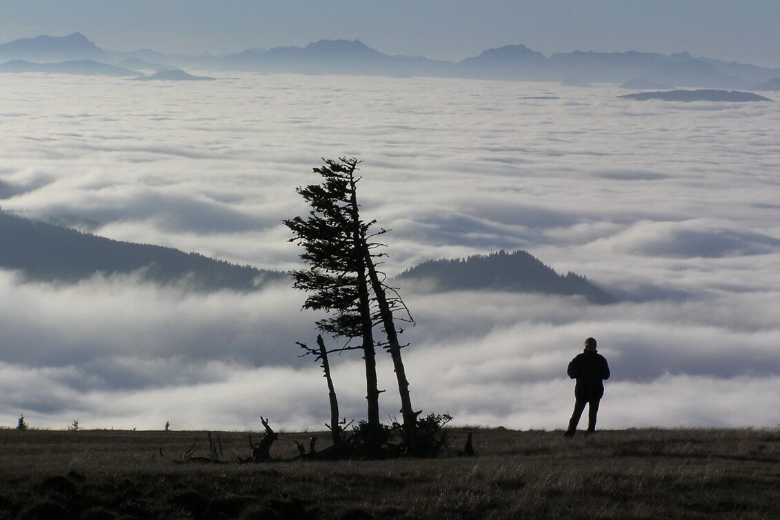 Hiking Route Up to the Ganzalm - Touren-Impression #1 | © TV Hochsteiermark