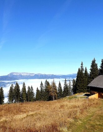 Wittmaier-Hütte auf der Stanglalm | Andreas Steininger | © TV Hochsteiermark