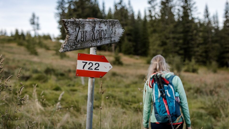 Wanderung Von Mitterdorf auf die Stanglalm - Touren-Impression #2.2 | © TV Hochsteiermark