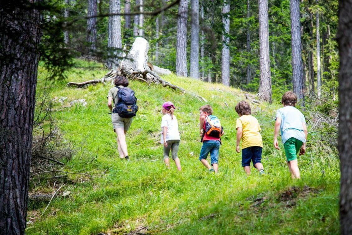 Hiking Route To the Ploderer Cross and the Bleiweiß Mine - Touren-Impression #1 | © TV Hochsteiermark
