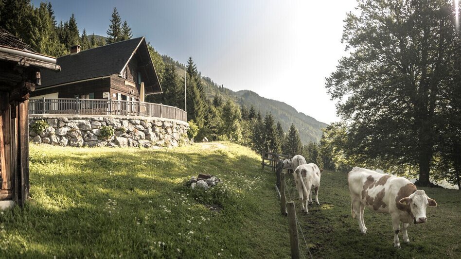 Wanderung Wanderrunde über die Naturfreundehütte und Moaralm Palfau - Touren-Impression #2.1 | © TV Gesäuse