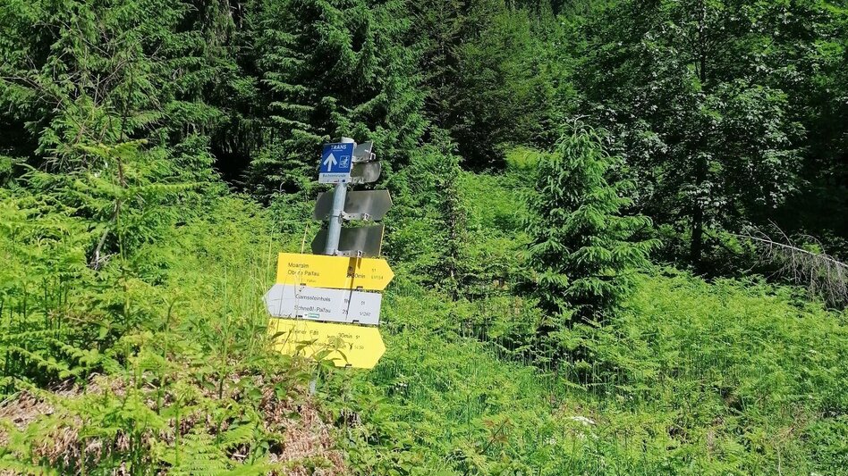Wanderung Wanderrunde über die Naturfreundehütte und Moaralm Palfau - Touren-Impression #2.5 | © TV Gesäuse