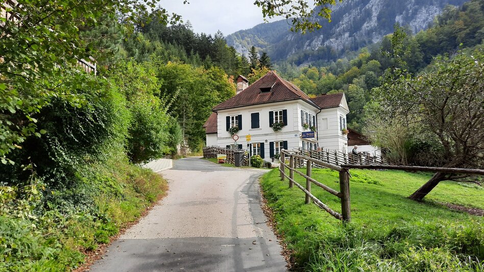 Hiking Route Through the Bärenschützklamm from Mixnitz - Touren-Impression #2.9 | © Oststeiermark Tourismus