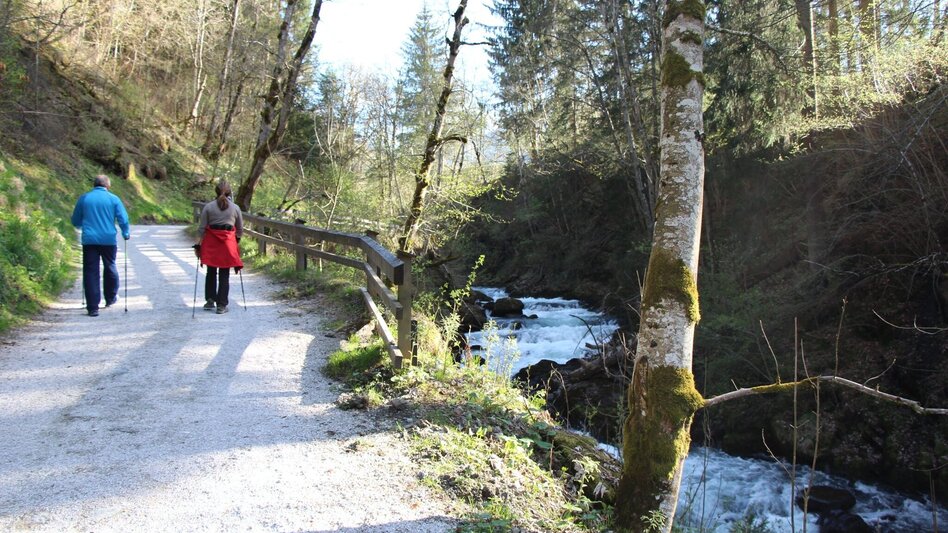 Wanderung Talbachklamm-Runde - Touren-Impression #2.3 | © Tourismusverband Schladming - Harald Steiner