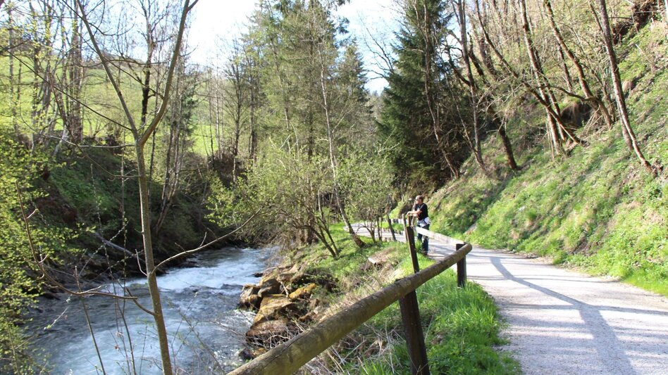 Wanderung Talbachklamm-Runde - Touren-Impression #2.4 | © Tourismusverband Schladming - Harald Steiner