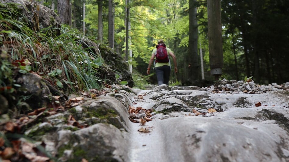 Wanderung Bärenschützklamm-Runde, Teichalm - Touren-Impression #2.5 | © Oststeiermark Tourismus