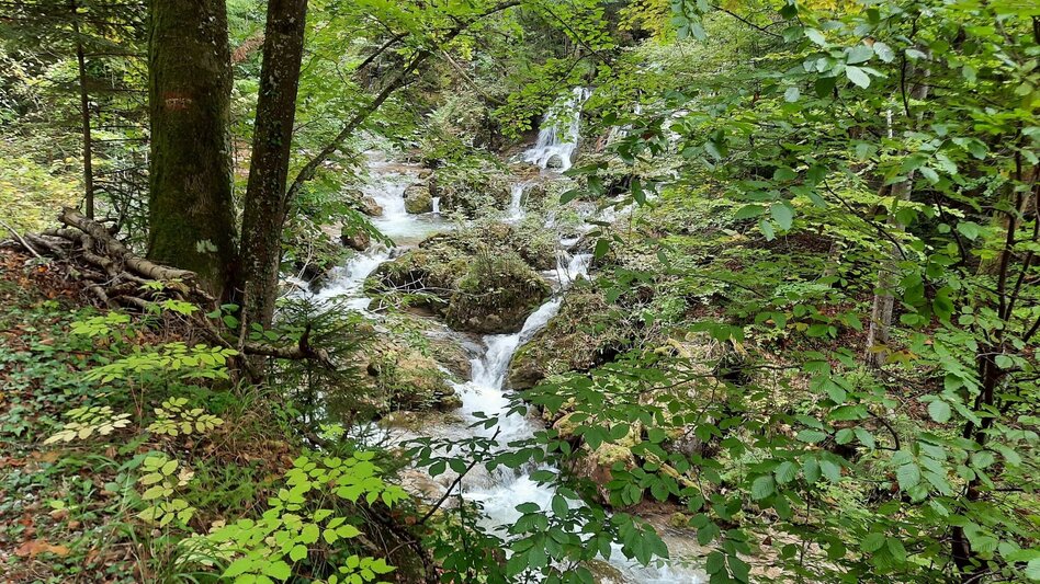 Wanderung Bärenschützklamm-Runde, Teichalm - Touren-Impression #2.6 | © Oststeiermark Tourismus