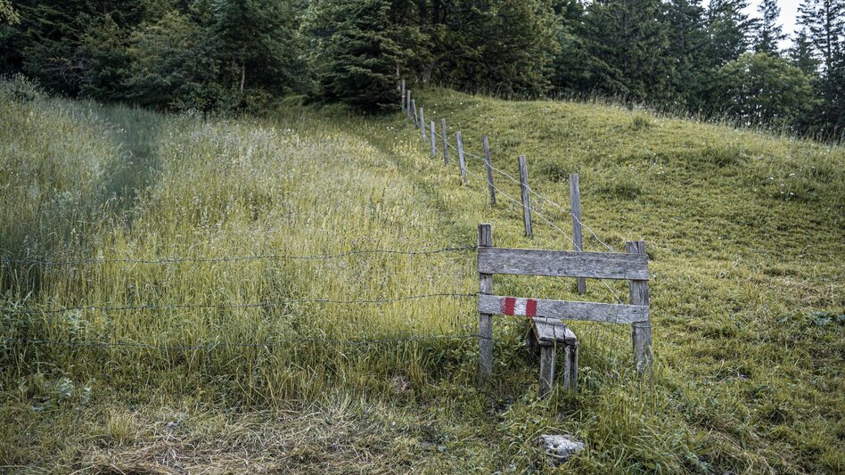 Hiking Route Jagerbichl-Brandangeralm Tour - Touren-Impression #2.3 | © Erlebnisregion Schladming-Dachstein