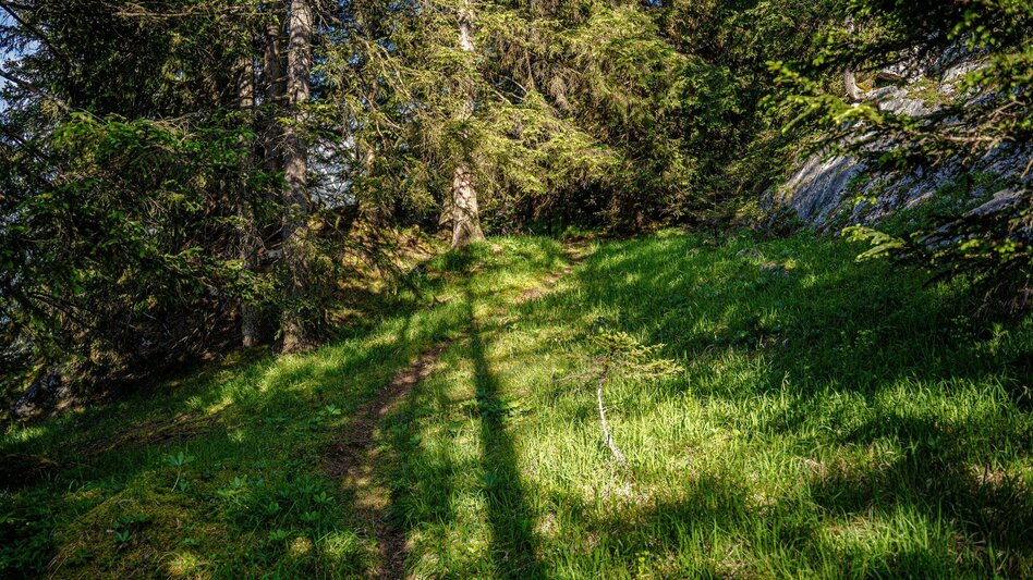 Hiking Route Jagerbichl-Brandangeralm Tour - Touren-Impression #2.7 | © Erlebnisregion Schladming-Dachstein