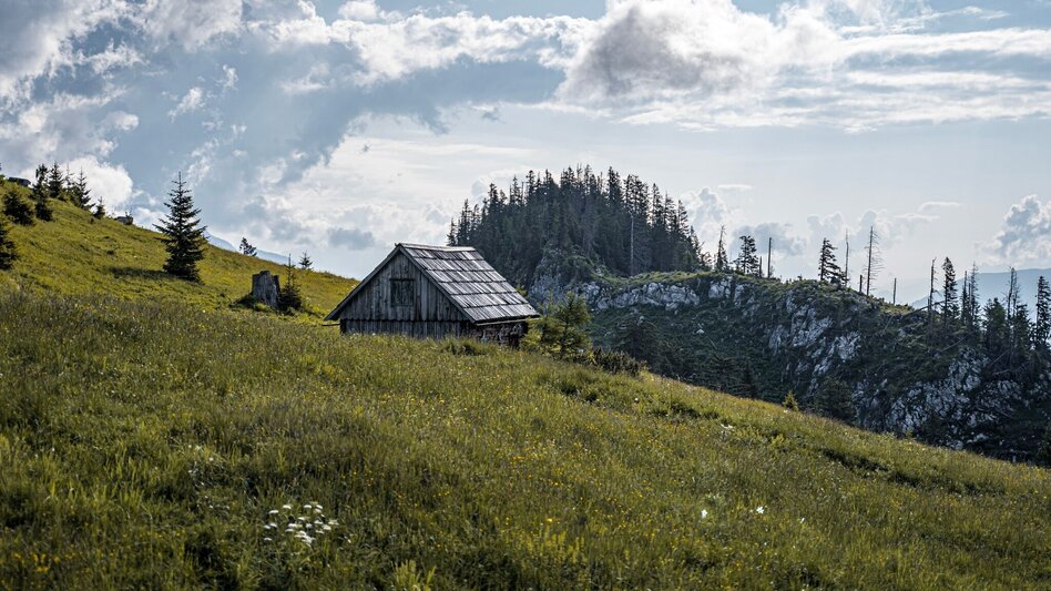 Hiking Route Jagerbichl-Brandangeralm Tour - Touren-Impression #2.10 | © Erlebnisregion Schladming-Dachstein