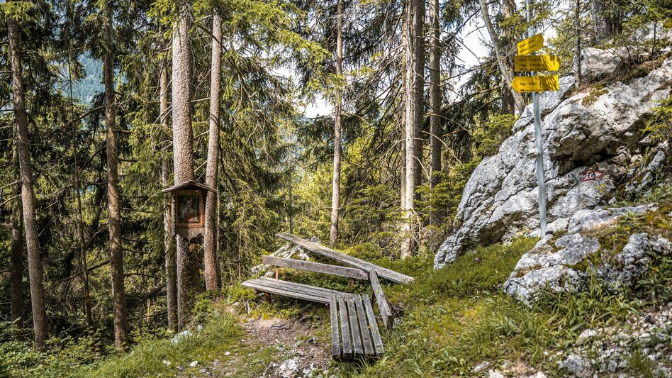 Wanderung Dachsteinblick-Runde via Poserer - Touren-Impression #2.2 | © Erlebnisregion Schladming-Dachstein
