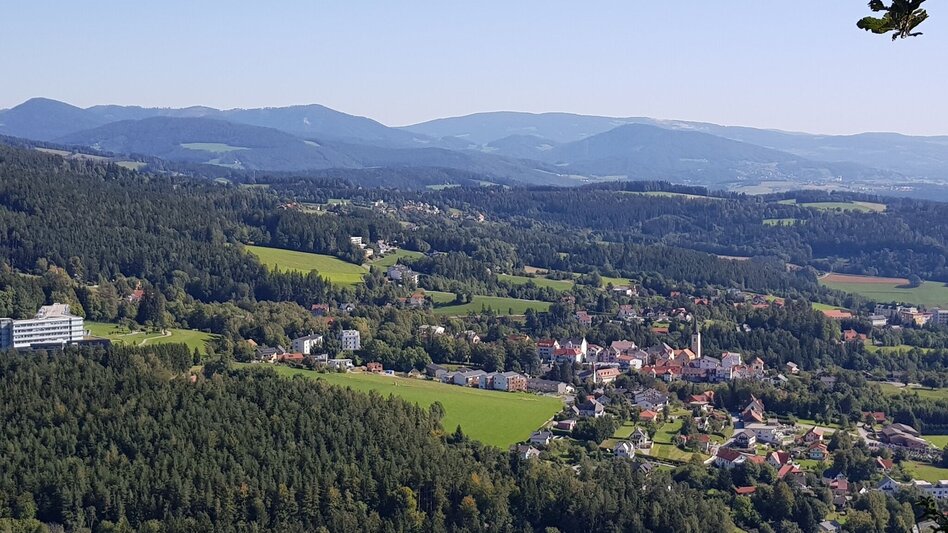 Hiking Route Dr. Hans Fuchs Waldweg - Touren-Impression #2.2 | © Region Graz