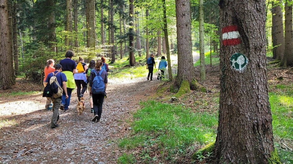 Hiking Route Dr. Hans Fuchs Waldweg - Touren-Impression #2.4 | © Region Graz