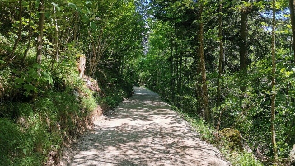 Hiking Route Theme trail Augstbach - Touren-Impression #2.3 | © Kulturfux